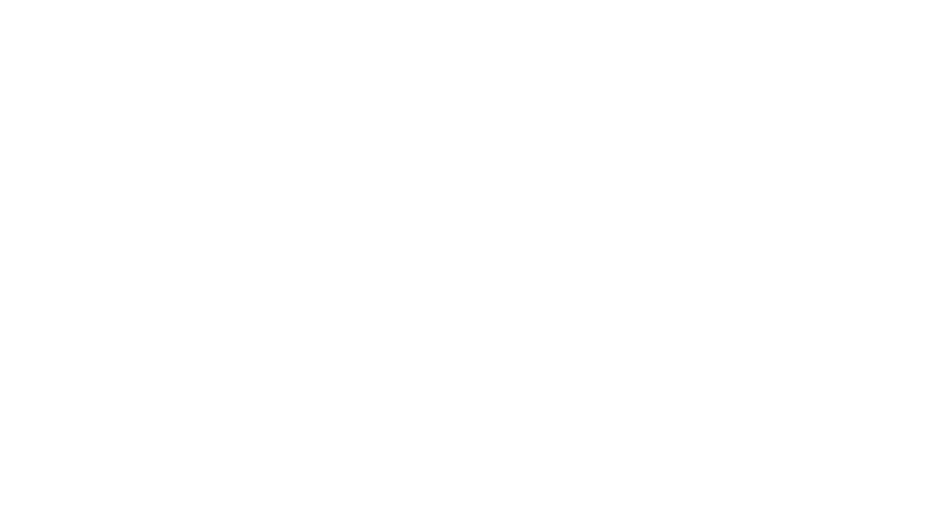 framedbynic Logo